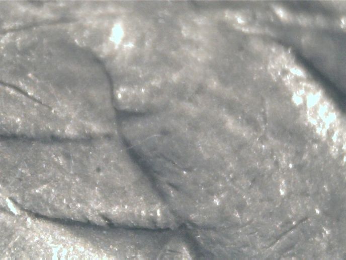 Noodling-Find-Of-The-Week?